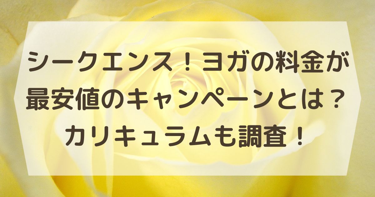 シークエンス！ヨガの料金が最安値のキャンペーンとは？カリキュラムも調査！