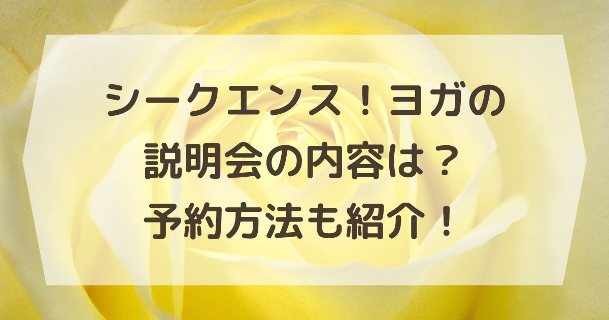 シークエンス！ヨガの説明会の内容は？予約方法も紹介！